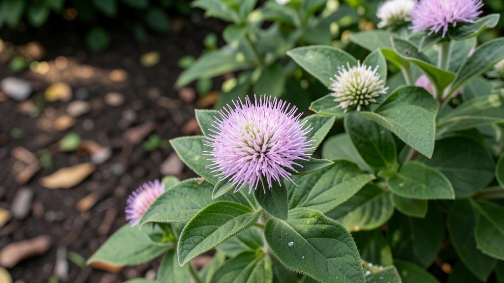 Deer-Resistant Shrubs For Shade: 12 Toughest Varieties That Survive Browsing and Low Light